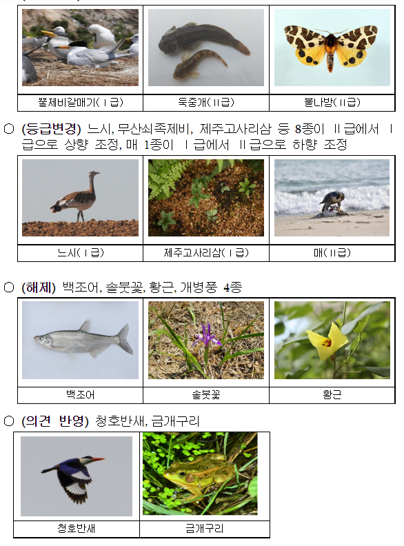 멸종위기 야생생물 282종으로 늘어난다_환경부 멸종위기 야생생물 282종으로 늘어난다_환경부