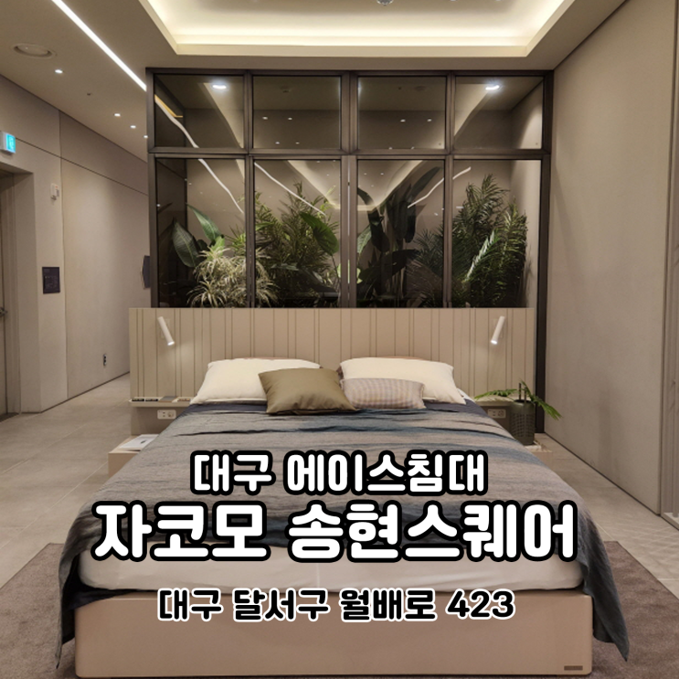  대구스트레스리스 구매는 대구에이스침대 자코모 송현스퀘어에서