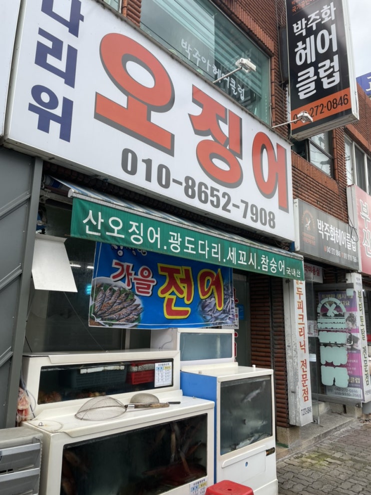  (대전 문창동) 다리위 오징어