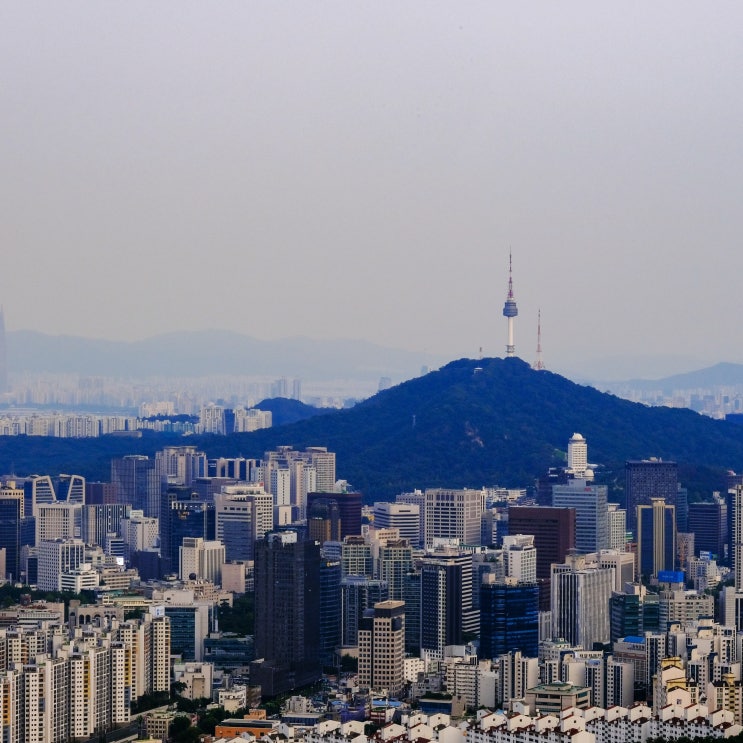 기술사 응시자수 1~4위 (건축시공기술사 토목시공기술사 건설안전기술사 소방기술사)