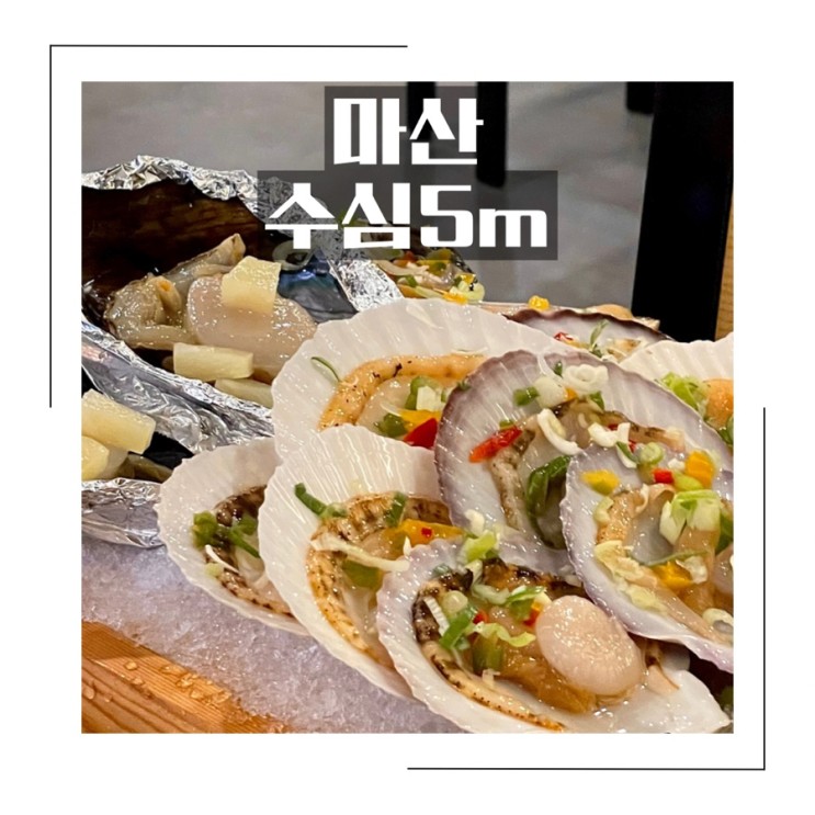 마산 댓거리술집 <수심5m> 월영동 댓거리 자연산 조개 새우 해산물