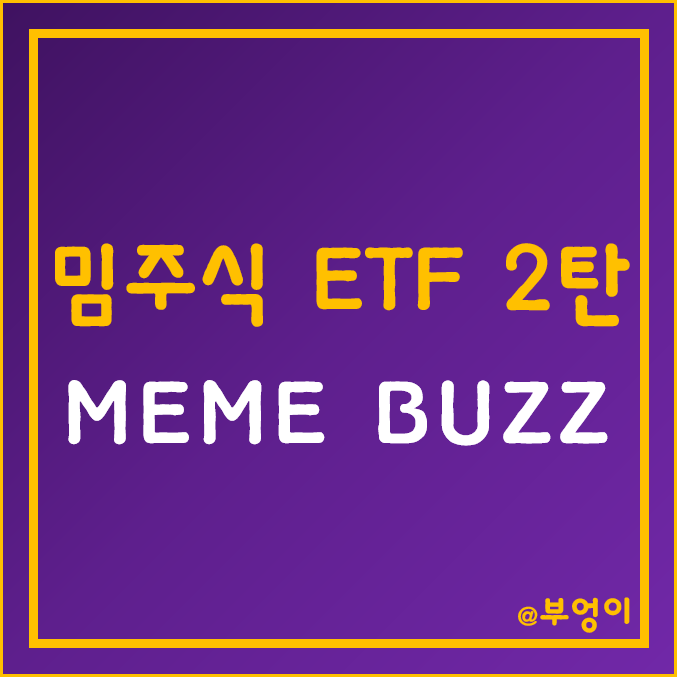 미국 밈주식 ETF 2탄 - MEME, BUZZ 분석 및 구성 종목 미국 밈주식 ETF 2탄 - MEME, BUZZ 분석 및 구성 종목