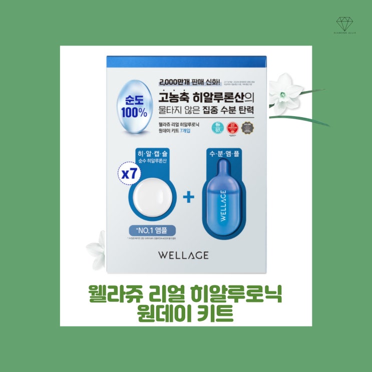  [내돈내산] 웰라쥬 리얼 히알루로닉 원데이 키트 4계절 사용 후기