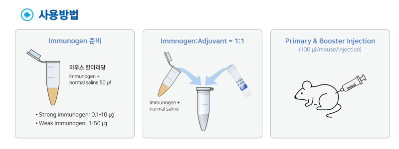 유화과정 필요없는 Mouse Adjuvant_ FastAb Adjuvant (런칭기념 1+1 이벤트) : 네이버 블로그