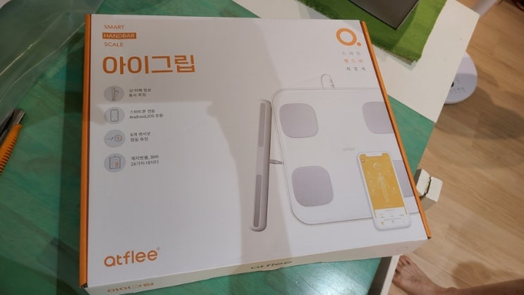  집에서 사용하는 스마트 인바디 체중계, 아이그립1 사용 후기