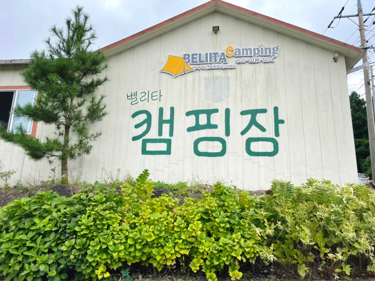 제주 오토캠핑장 가성비 좋은 조천읍 제주도캠핑장 / 제주벨리타캠핑장