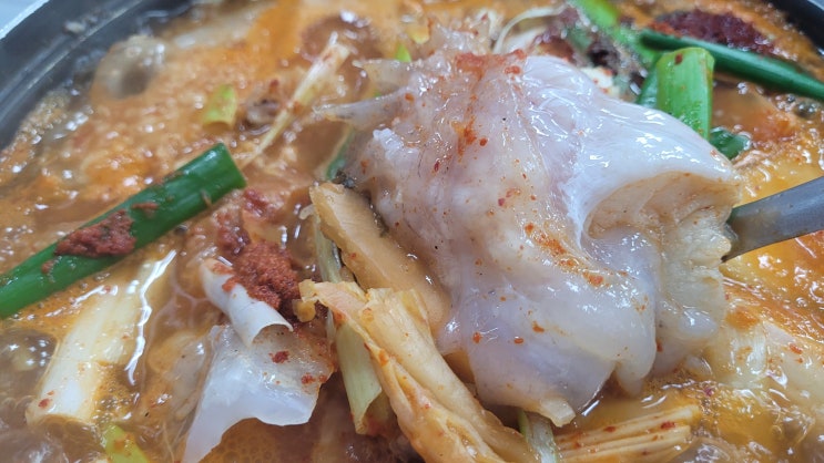  동해 묵호항맛집 청해수산 두번째방문해서 동해 곰치국먹기