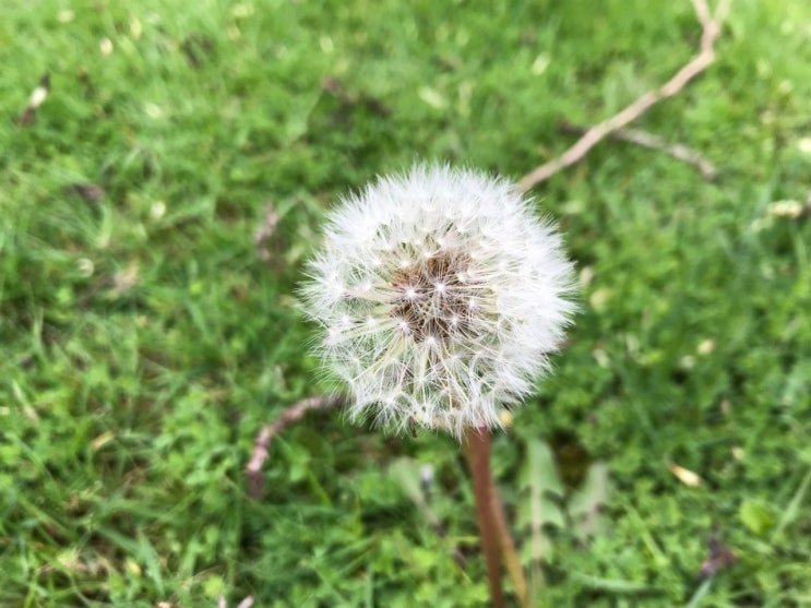 수원 세 모녀 사건에서 드러난 사각지대의 맥락 수원 세 모녀 사건에서 드러난 사각지대의 맥락