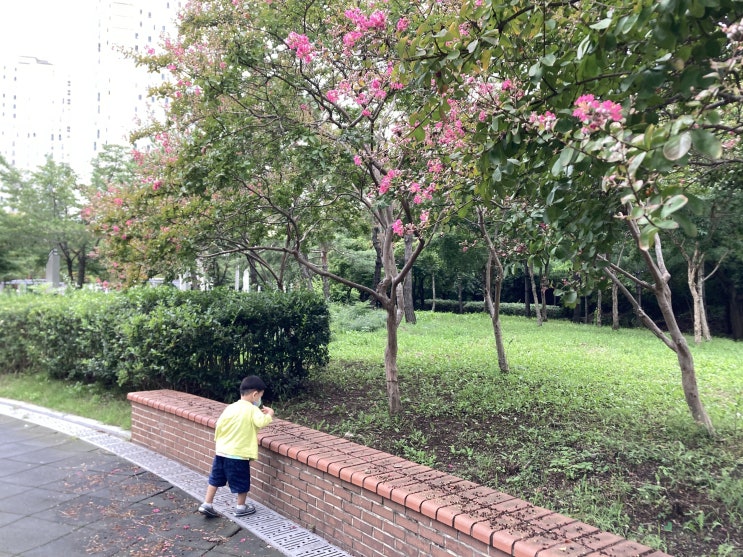 9월 첫째주 34개월 주간일기 9월 첫째주 34개월 주간일기