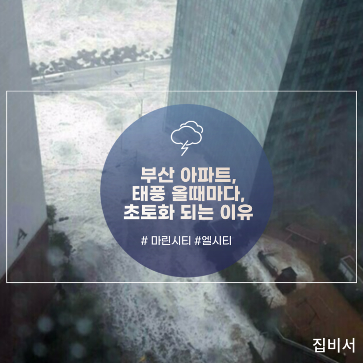  태풍 시즌 부산 해운대 아파트가 초토화되는 이유