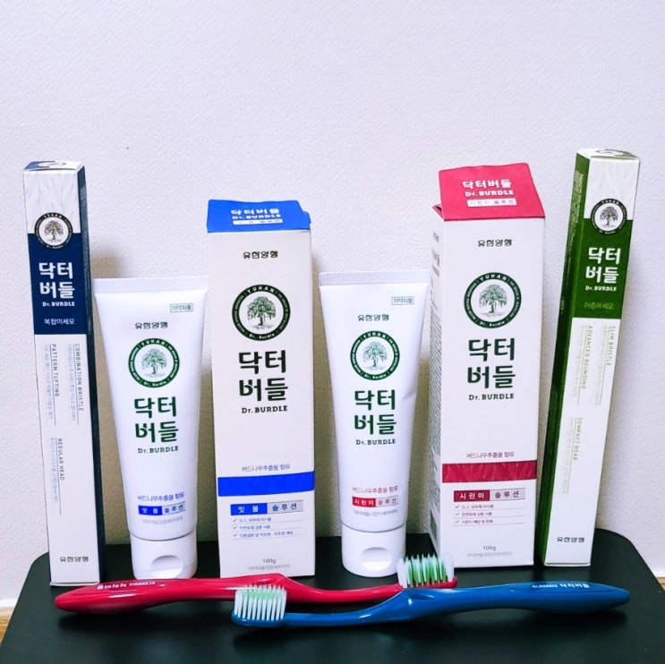  [유한양행] 닥터버들 잇몸, 시린이케어 치약 칫솔세트 사용후기 (feat. 디나맘님 이벤트 당첨)