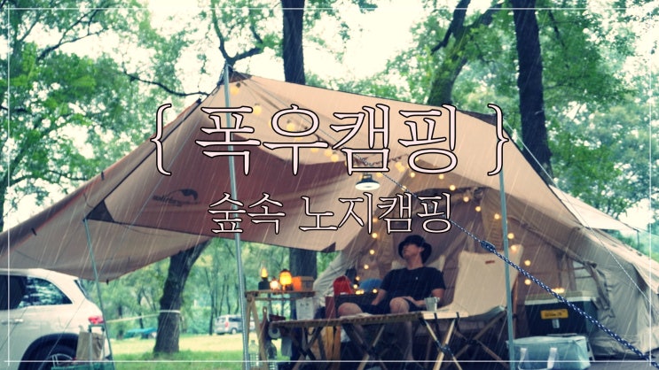  강원도 차박성지 정선 미락숲에서의 우중캠핑 GLB 250