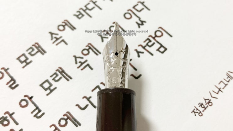  한 알 모래 속에 바다가 있다 (ft. 몽블랑 어린왕자 르그랑 M닙 만년필 실제 사용 영상)