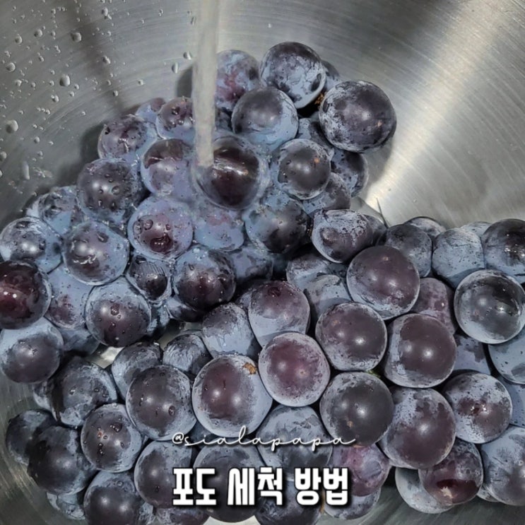  포도 세척 방법, 잔류농약 제대로 알고 세척하기