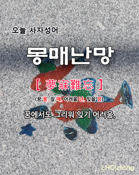 [977] 오늘 사자성어 몽매난망(夢寐難忘)의 뜻은?