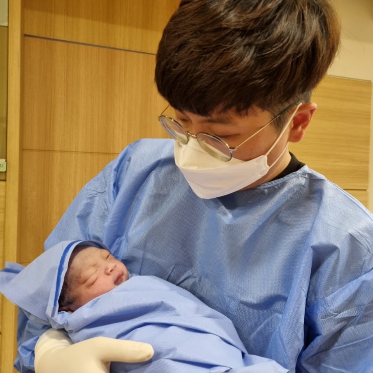  망고의 탄생