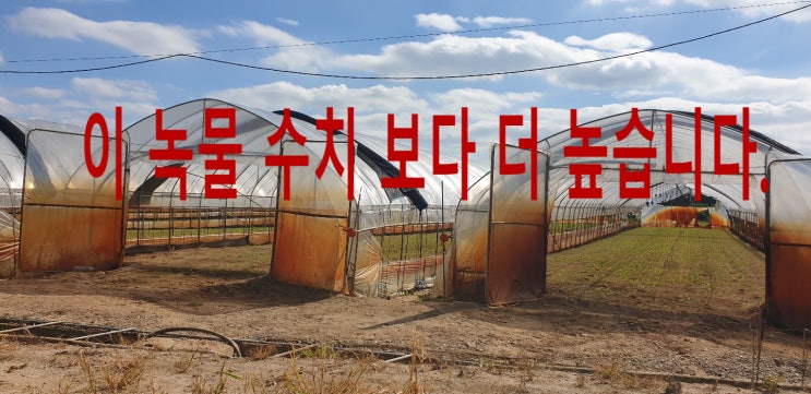  지하수 녹물(철분) 24배 정수 포기 하세요. 저라면 그럴거 같음.