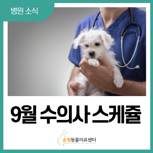 경기광주동물병원 송정동물의료센터 22년 9월 주치의 진료표