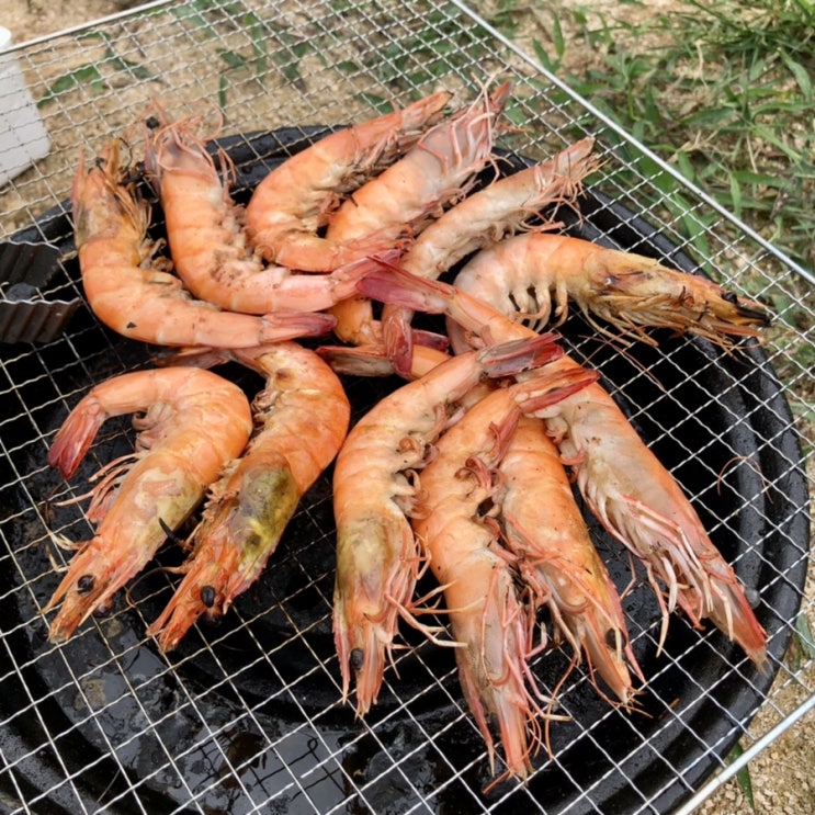 블챌 주간일기 챌린지 9월 1주차 : 호캉스 캠핑 식단 일반식