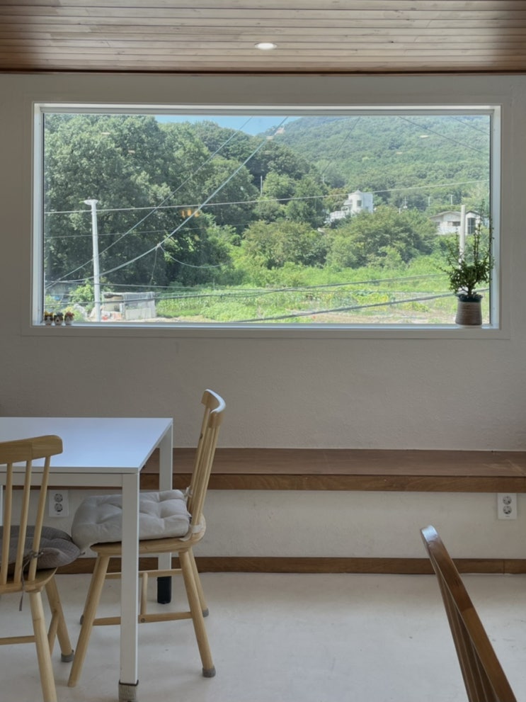  주간일기 14번째, 눈을 감고 걸어도
