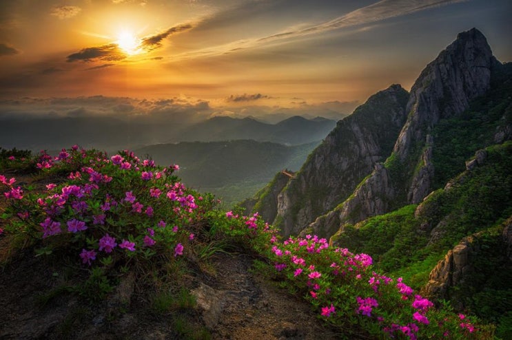  환경보호.