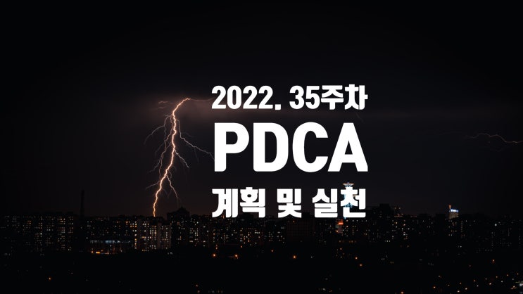  2022년 계획과 실천 35주차점검 [맞벌이의 눈물]