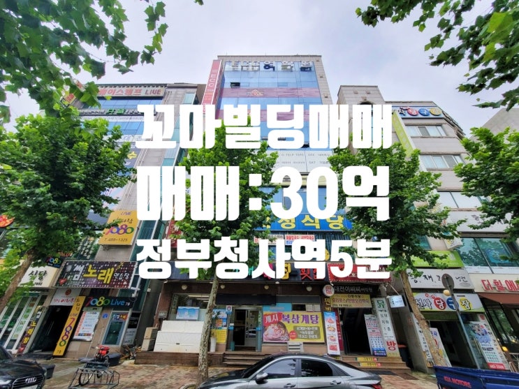  대전 월평동 정부청사역 도보 5분 통계청 앞 꼬마 빌딩 매매