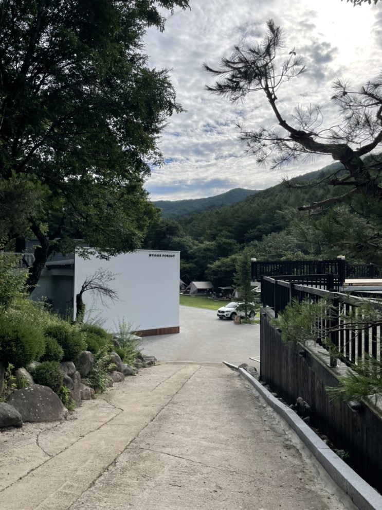  휘게포레스트,평창캠핑장, 2박3일, A6
