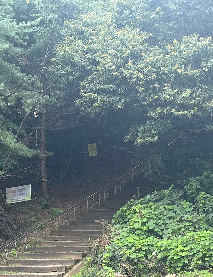  용인 조비산 비박 산행 - 1박2일