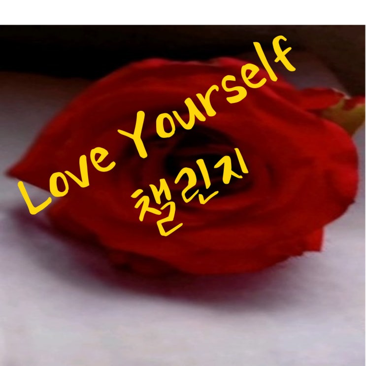  나 자신을 어떻게 행복하게 만들까 Love Yourself  챌린지 from 루드님 감사합니다