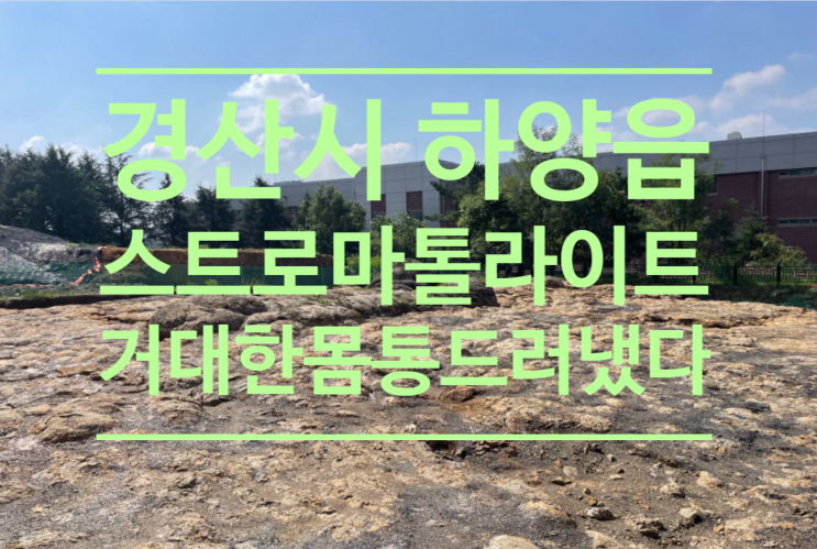  경산시 하양읍 스트로마톨라이트 거대한 몸통 드러냈다