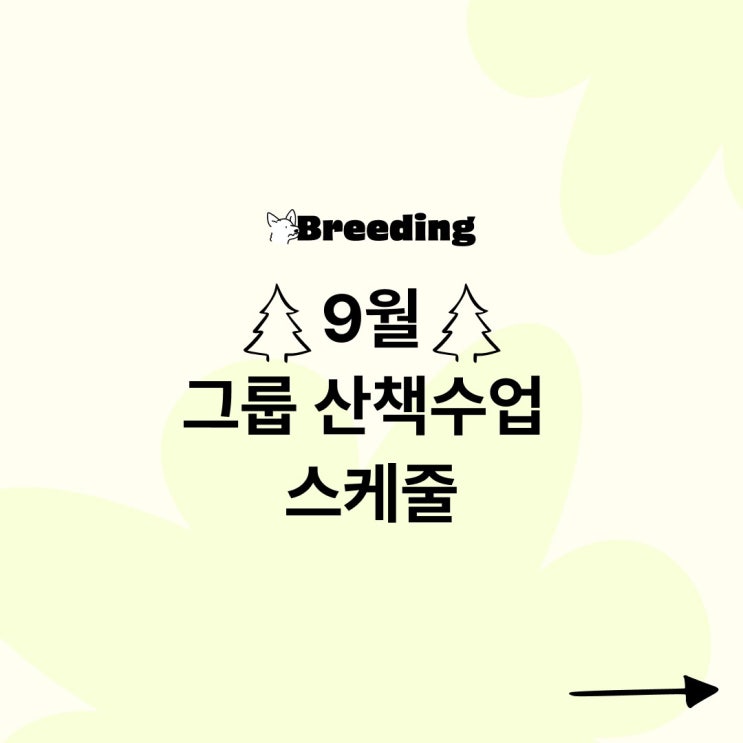9월 반려견 그룹 산책 수업 OPEN! - 산책 훈련 9월 반려견 그룹 산책 수업 OPEN! - 산책 훈련