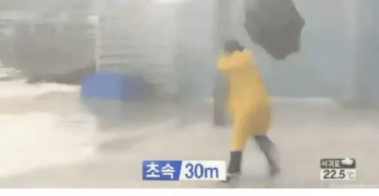 태풍 힌남노 실시간 경로 확인 방법 어스널스쿨 (ft.해운대 마린시티) 태풍 힌남노 실시간 경로 확인 방법 어스널스쿨 (ft.해운대 마린시티)