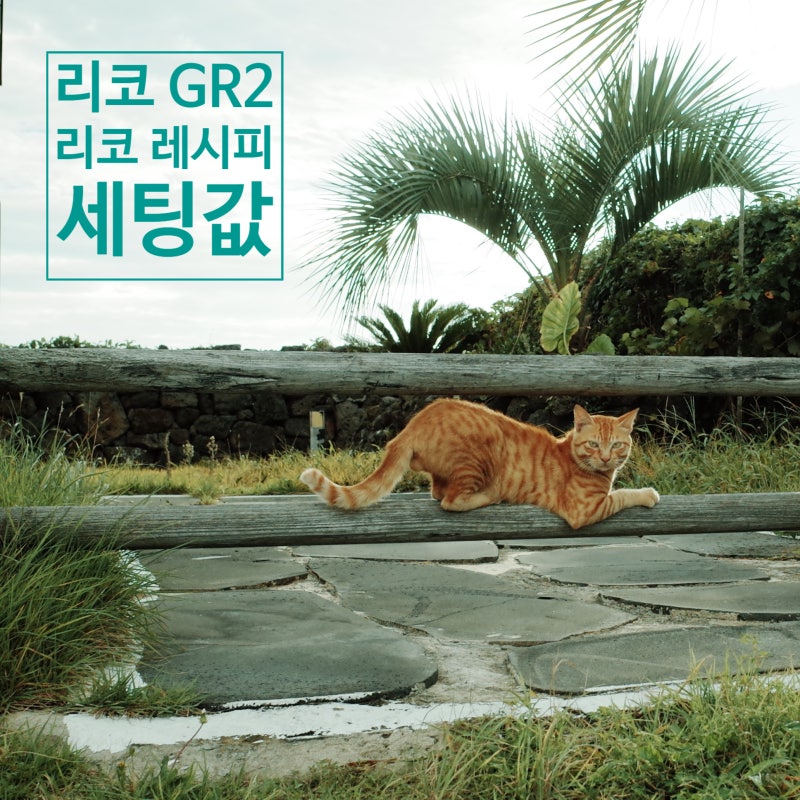 리코 GR2 세팅값... 리코 레시피를 참고하다