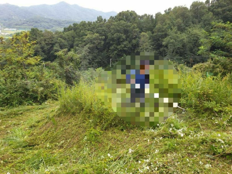  2022년 김천시 남면 운남리산52 2상구벌초 김천벌초 남면벌초 벌초대행 추석벌초 김천고인돌장의사 #김천벌초 #선산벌초 #구미벌초 #황간벌초 #영동벌초 #성주벌초 #거창벌초