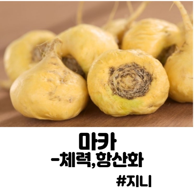 마카 - 나우푸드마카, 체력, 항산화 마카 - 나우푸드마카, 체력, 항산화