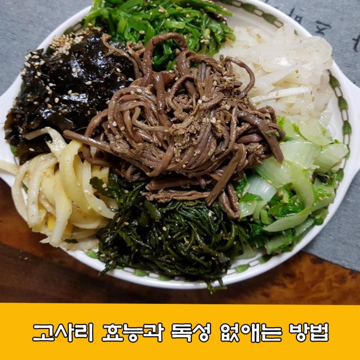  고사리, 고사리 효능, 고사리 독성