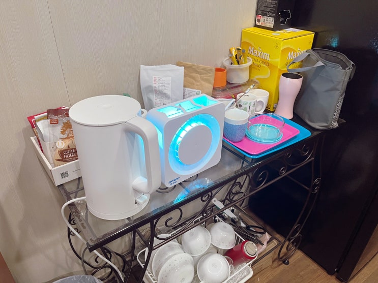  여름철 날파리, 초파리 이젠 안녕! 가정용 포충기 진작 쓸껄