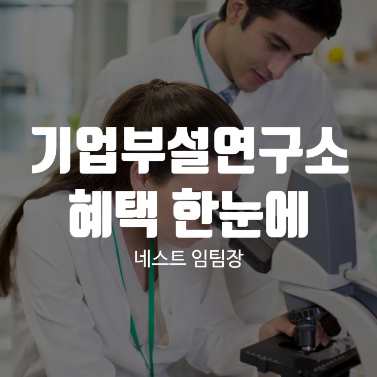 기업부설연구소 혜택 한눈에