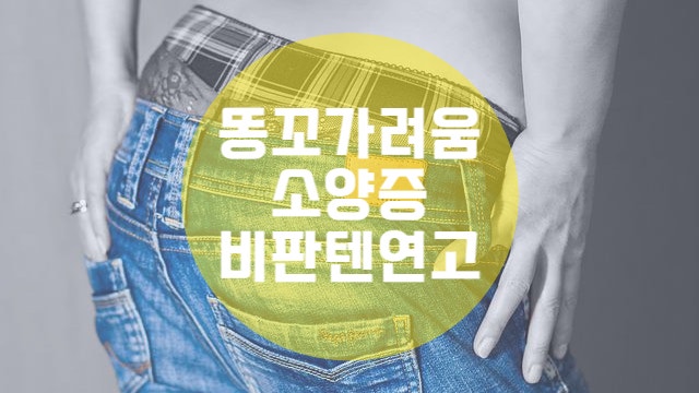 똥꼬가려움 항문소양증 비판텐연고 직빵 (후기)