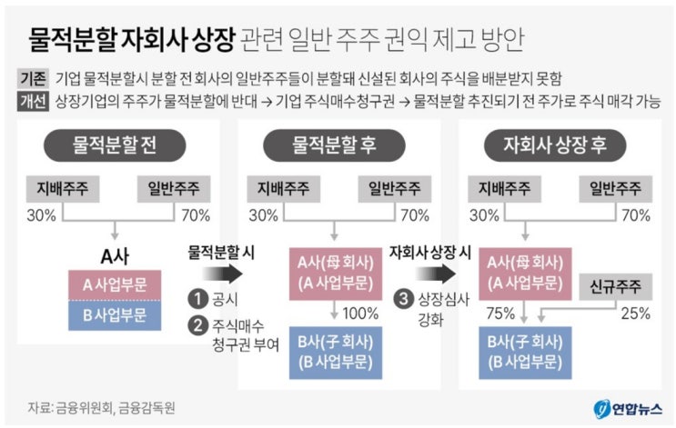  물적분할 반대 때 소액투자자 보호 방법