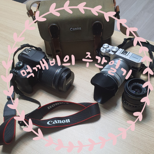  먹깨비의 주간일기