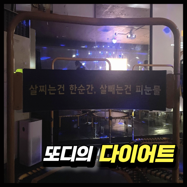  [운동 일기] 다이어트 운동 시작 양재역헬스 '야호점핑'에서 운동 후기