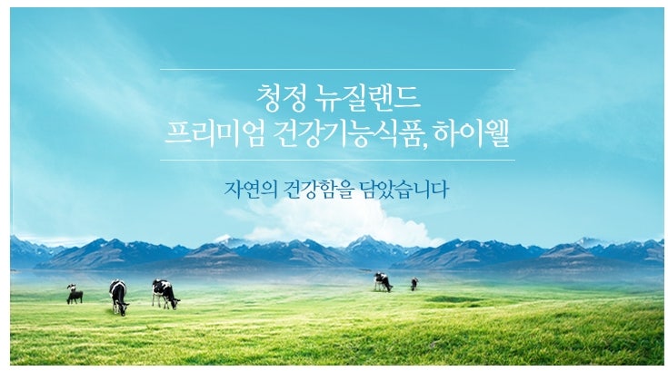 글루코사민 설페이트와 25배 농축된 초록입홍합 추출물, Gao Jing 녹색 글루코사민을 추천합니다! 5