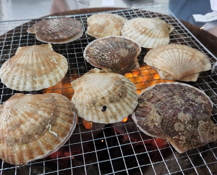  고성 청간해변 맛집 형제수산 가리비 직판장 존맛!