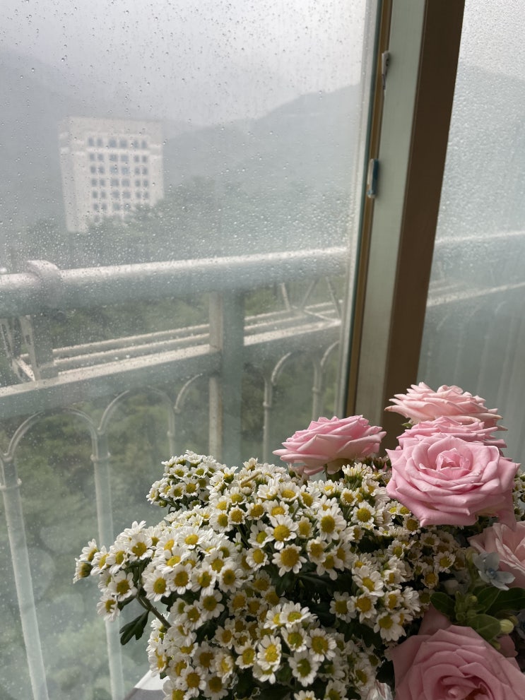  엄궁꽃도매시장 : 꽃과 함께 힌남노 태풍대비 