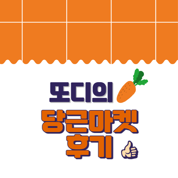  [생활/일상] 당근마켓 앱 리얼 후기