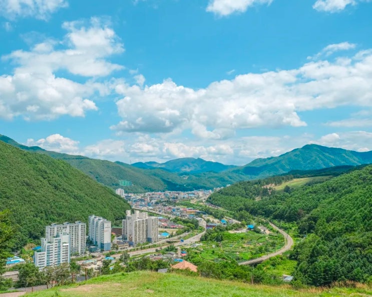  강원도 태백 가볼만한 곳 <태백 핫플> 몽토랑 산양목장