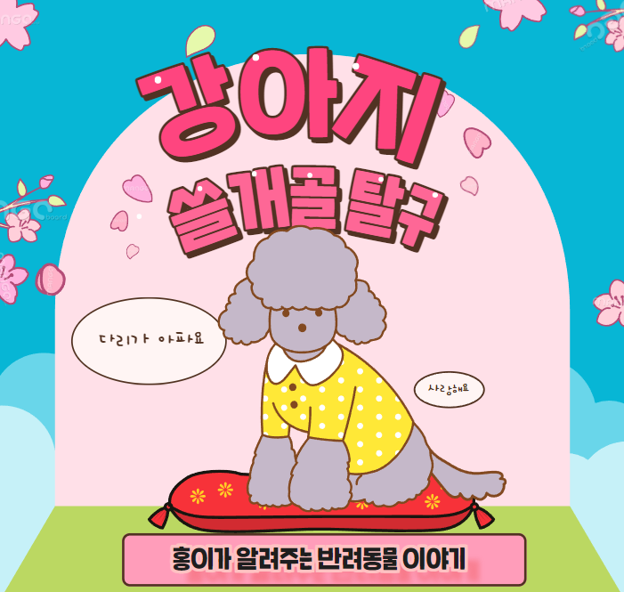  강아지 슬개골탈구 예방하는 방법, 슬개골 탈구 수술하기 전에 관리하기