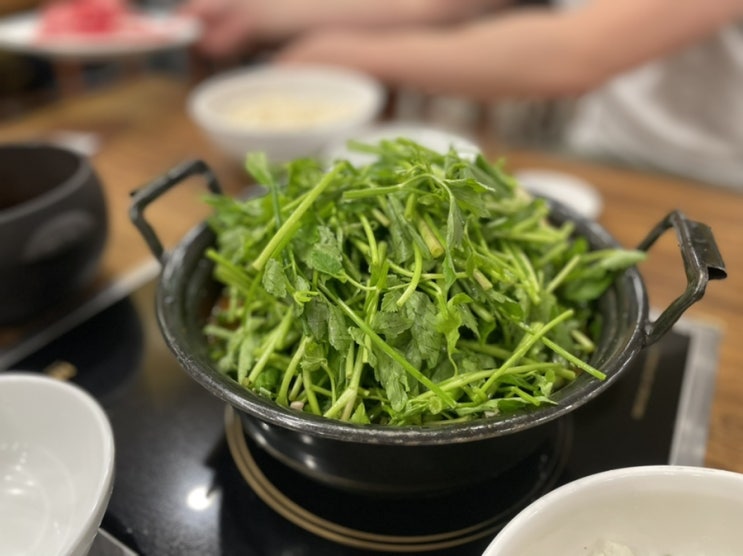  등촌샤브칼국수 위례신도시점